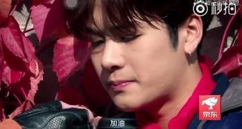 吃瓜娱乐圈王嘉尔是谁,娱乐圈的瓜中明星